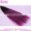 Top Quality Cheap I Tip Brazilian Hair Extension Remy Ombre #2TPurple I Tip Hair Extension For Cheap
