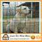 heavy duty Holland Wire Mesh/Garden fence