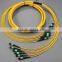 MTP Trunk cable