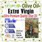 Premium Quality Extra Virgin Olive Oil. Pure Natural Extra Virgin Olive Oil With ISO9001 Certification. Dorica Glass750ml Bottle