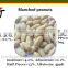  recommend high quality and good price Blanched Peanut Kernels