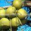 100% Pure Plant Extract Saw Palmetto Extract 25% and 45% Fatty Acid