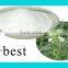 Stevia Leaves Extract
