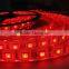 LED Flexible Strips Light