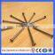 Pakistan high quality polished iron common wire nails for building(Guangzhou Factory)