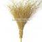 Wy-C101 bamboo brooms