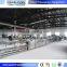 good quality quick freezing machine frozen potato french fries production line