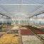 greenhouse temperature cooling system tomato