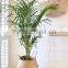 Indoor plants basket/Seagrass storage basket/Seagrass belly basket
