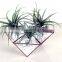 Trendy Modern Geometric Hexagon Stained Glass Terrarium