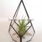 Kure Beach Sea Shells Black Metal Pyramid Ionantha Air Plant Glass Terrarium