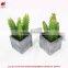 Artificial succulent combination mini succulent potted High quality mini artificial catus