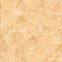 Glazed Polished Tiles