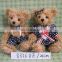 HI mini plush high quality teddy bear for the valentine