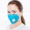 Best Selling Protective Products Custom Printed Dust Mask for Adults and Kids