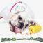 New pet products amazon hot style toothbrush dog toy rope