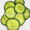 High standars quality and nice design home-use Vegetable Dicer, shredder, slicer