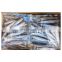 Good price IQF pilchards frozen sardine best selling