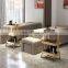 Hot sale Double Layer Beauty Stylist Trolley Rolling Cart in Salon furniture with 3 layers in sliver and golden color