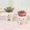 Fashion Garden Decor Succulent Planter Home And 2021 Guangdong Flower Pots Planters Potted Faux Plants Cute Tooth Shape Pot