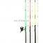fishing rod 2 in 1 this costing japan new mold hot sale carbon fishing rod solid