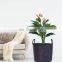 Best Product Plant Holder Round Seagrass Basket with Handles, Laundry, Toys Organized Baskets Wholesale