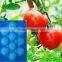 PP/PS/PET plastic tray /packaging tray /fruit tray
