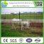 china cheap 2.5m 3.0m hot dipped galvanized pvc coated boundry fencing field fence with best price