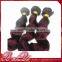 Wholesale top quality brazilian human hair wet and wavy weave