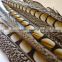 16"-18" Wholesale Cheap Natural Lady Amherst Pheasant Feather Tail For Sale