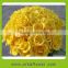 High quality fashion fresh cut yellow rose plants