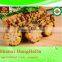 best selling Special best quality yellow corn for animal feed