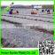 black anti root mulch,PE plastic weed control film,0.6 micron ground cover moisture control mulch