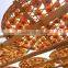 high class dried vegetable dried Persimmon fresh persimmons