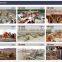 River Stone Crushing Plant, Basalt Crusher