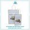 Custom Printed Paper Bag and Craft Gift Paper Bag Printing and Paper Bags