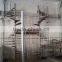 16 Sets Stainless Steel 316 ExteriorSpiral Steel For Japanese Customer
