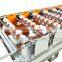 China market new design curving cold roll form machine