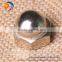 China Supply low price Hexagon Domed Cap Nut Decorative Cap Nut
