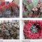 New style christmas christmas rose garland