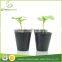 factory price plastic nursery pots flexible soft pot orchard seed pot