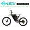 adult electric bike 48v 350w electric mountain bike in hot selling