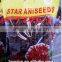 Guangxi China Raw Dried Star Aniseeds