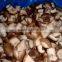 Delicious frozen shiitake mushroom new season