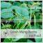 High Quality green mung bean for food,grade a green mung bean price