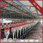 China Manufacturer Save Breeding Cost Pig Farming Equipment Drinking Pigs