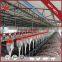 Wholesale High Quality Save Breeding Cost Economic Farm Pig Feeder