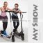 sunnywalk 2 wheel self balance electric scooter off road