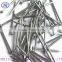 cheap price common iron nails/common round nail/common wire nails
