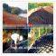 Best price Geocell used for embankments or river bank/ Geocell for slope protection